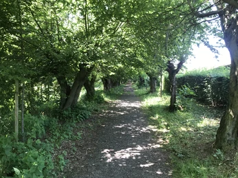 Rundwanderung Asse Station 2 Foto Lau Nördliche Harzvorland Tourismusverband e. V. (6).jpg