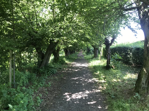 Rundwanderung Asse Station 2 Foto Lau Nördliche Harzvorland Tourismusverband e. V. (6).jpg