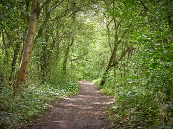 Salzgitter-Höhenzug_Achim Meurer_Nördliches Harzvorland Salzgitter-Höhenzug_Achim Meurer_Nördliches HarzvorlandSalzgitter-Höhenzug_Achim Meurer_Nördliches HarzvorlandSalzgitter-Höhenzug_Achim Meurer_Nördliches HarzvorlandSalzgitter-Höhenzug_Achim Meurer_Nördliches Harzvorland
