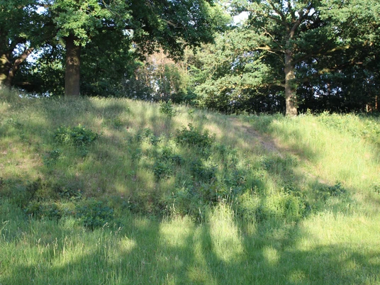 Alte Schanze Ruhige Szene eines bewaldeten Erdwalls, durchwachsene Gräser und Sonnenlicht durch Eichenkronen.