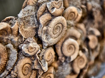 Achim Meurer_2020_Nördliches Harzvorland_GeoPark Infozentrum Königslutter am Elm Achim Meurer_2020_Nördliches Harzvorland_GeoPark Infozentrum Königslutter am Elm
