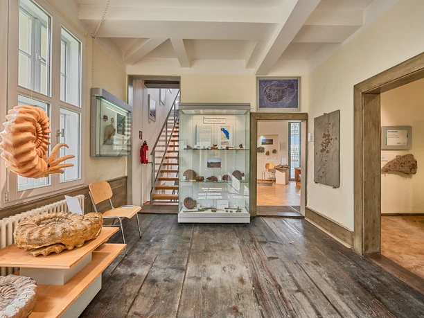 Achim Meurer_2020_Nördliches Harzvorland_GeoPark Infozentrum Königslutter am Elm Achim Meurer_2020_Nördliches Harzvorland_GeoPark Infozentrum Königslutter am Elm