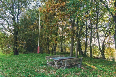 Der Berg im Moor Holztisch mit Bänken auf grüner Wiese am Waldrand, herbstlich gefärbte Bäume im Sonnenlicht