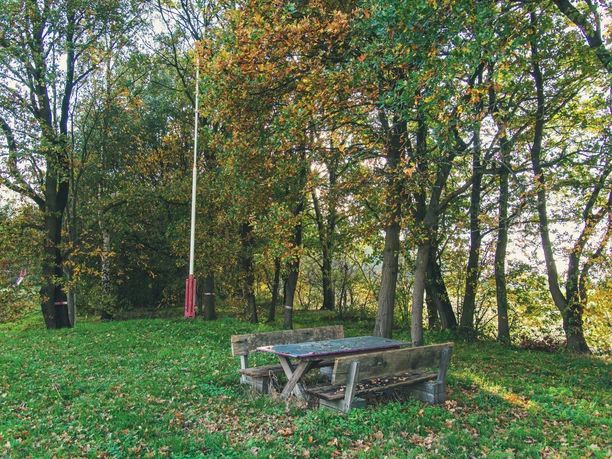 Der Berg im Moor Holztisch mit Bänken auf grüner Wiese am Waldrand, herbstlich gefärbte Bäume im Sonnenlicht