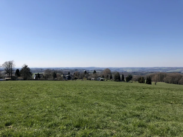 Ausblick vom kleinen Heckberg in die Rheinebene Grüne Wiesen, einzelne Bäume und ein weiter Blick auf sanfte, bewaldete Hügel unter klarem Himmel.