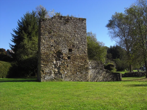 Burgruine Alte Steinruine im Grünen, umgeben von Bäumen, vor klarem, blauem Himmel an einem sonnigen Tag.