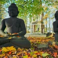 Buddhastatuen im Garten Zwei sitzende Buddha-Statuen im herbstlichen Park, umgeben von buntem Laub und Bäumen.