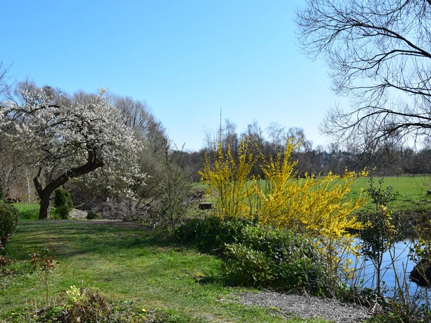 An der Wupper Frühlingshafte Landschaft mit blühendem Baum und Sträuchern an einem Teich in einem Wipperfürther Park.