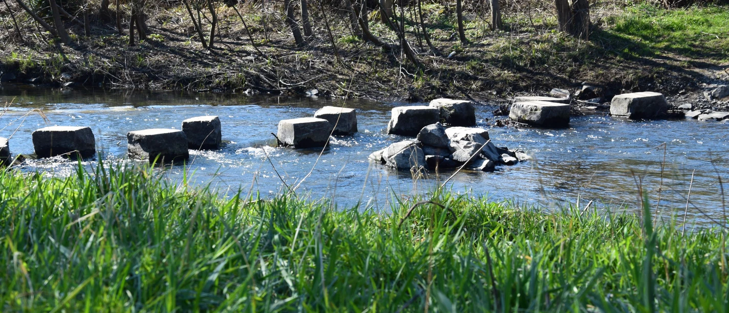 Furt durch die Wupper Steppingstones in einem ruhigen Bach inmitten einer grünen, naturbelassenen Landschaft bei Wipperfürth.