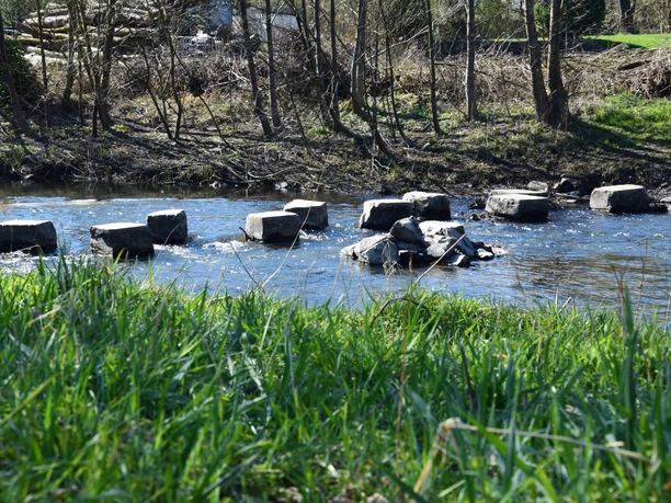 Furt durch die Wupper Steppingstones in einem ruhigen Bach inmitten einer grünen, naturbelassenen Landschaft bei Wipperfürth.