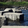 Furt durch die Wupper Steine im Bach, die als Trittsteine für eine sichere Überquerung des Wassers dienen.