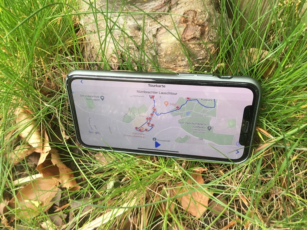 App auf dem Smartphone Ein Smartphone, das im Gras liegt, zeigt eine digitale Karte mit einer markierten Tourroute an.