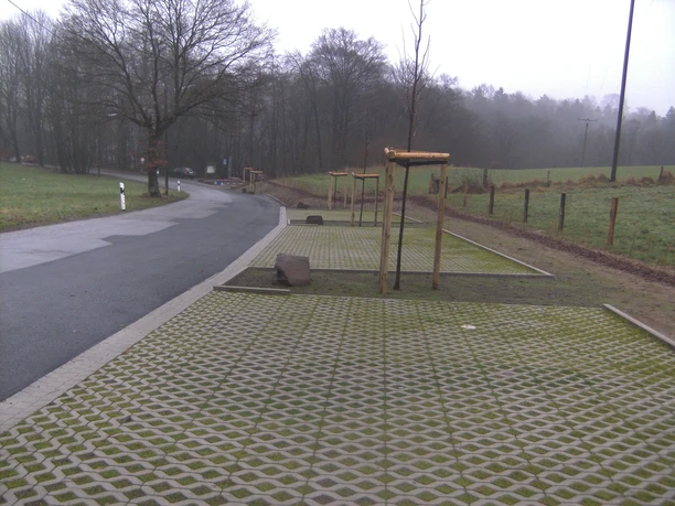 DIGITAL CAMERA Parkplatz mit Rasengittersteinen und Bäumen entlang einer Straße, umgeben von nebligem Wald.
