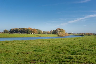Kuhweide