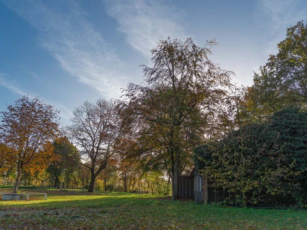 Emslandlager Versen Baumbestandene Wiese im herbstlichen Licht mit kleinem, von Efeu bewachsenem Holzgebäude.