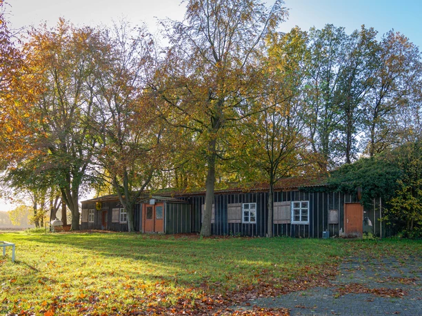 Emslandlager Versen Langgestrecktes dunkles Holzgebäude im Herbst, umgeben von buntem Laub und weichem Sonnenlicht.