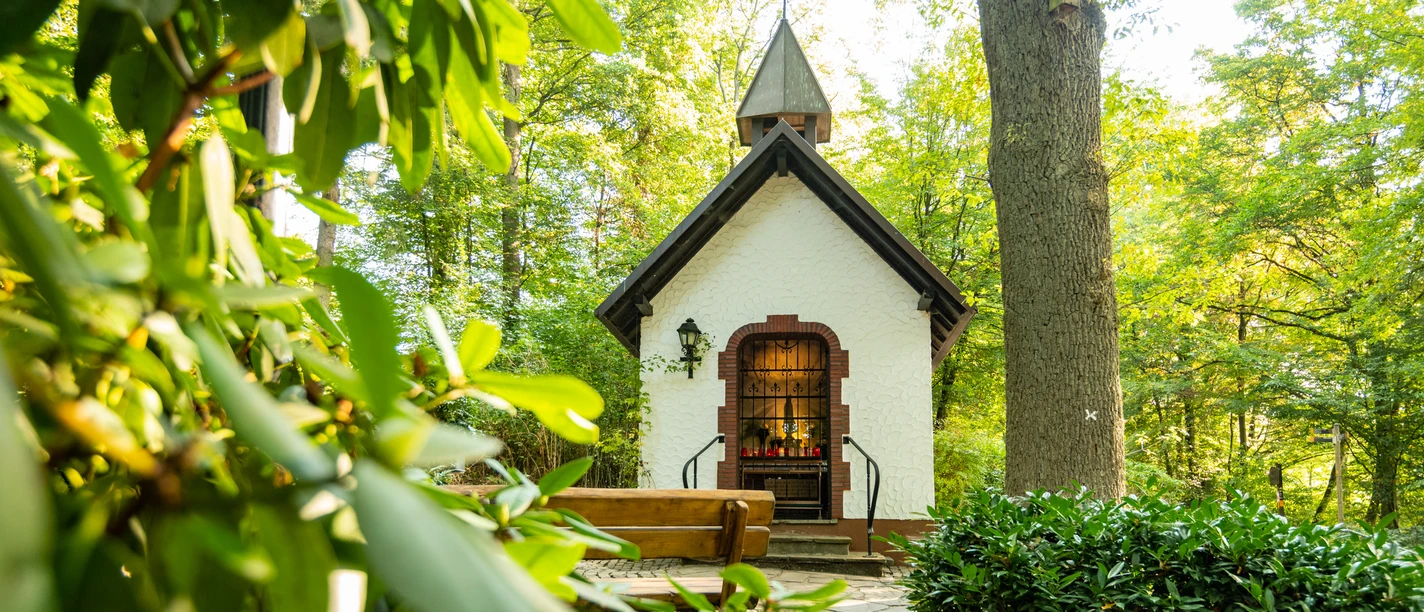 Fatimakapelle Kapelle im Wald mit grünem Laub, Bank und Pflanzendetails als idyllisches Landschaftsbild.