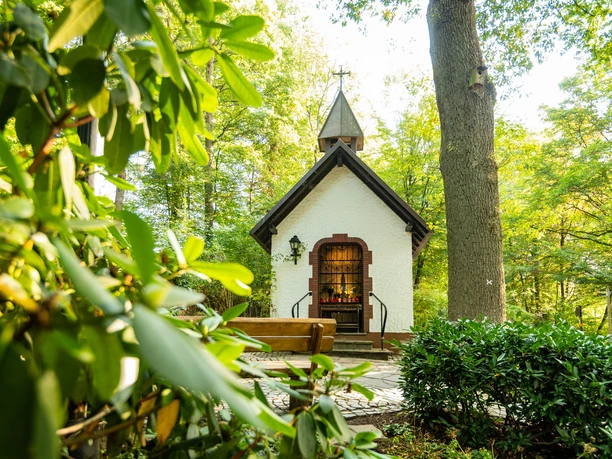 Fatimakapelle Kapelle im Wald mit grünem Laub, Bank und Pflanzendetails als idyllisches Landschaftsbild.