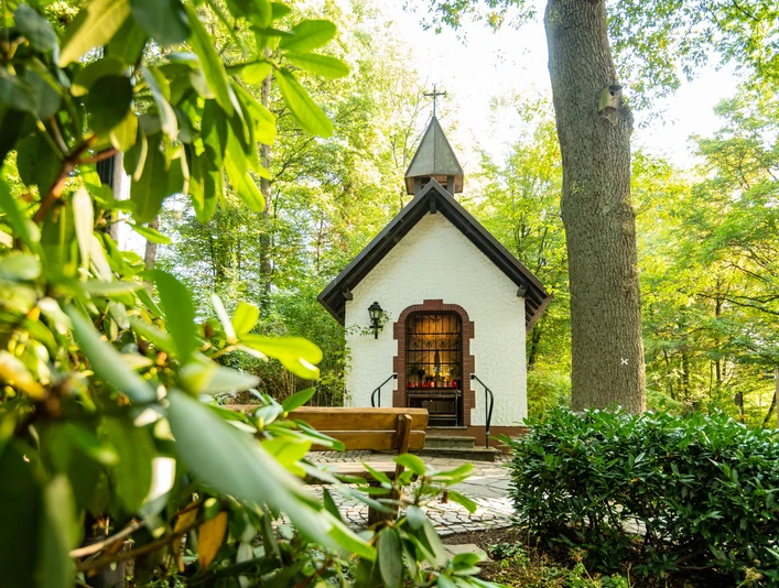 Fatimakapelle Kapelle im Wald mit grünem Laub, Bank und Pflanzendetails als idyllisches Landschaftsbild.