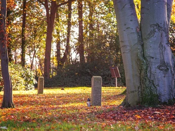 Kriegsgräber Fullen