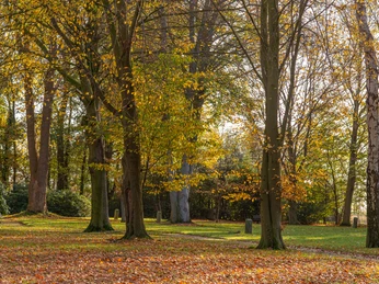 Kriegsgräber Fullen