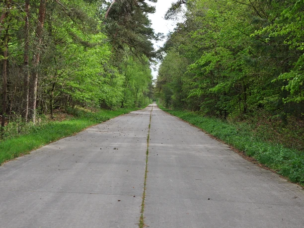 WTM004_Unverwüstliche Straße_DSC_0534.JPG