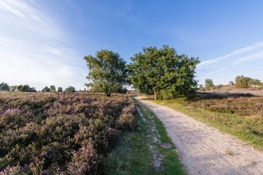 wanderweg-oberhaverbeck