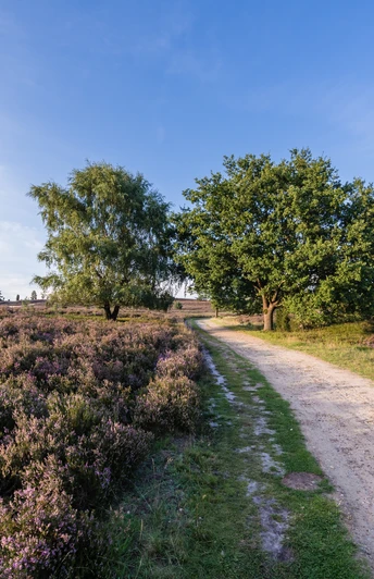 wanderweg-oberhaverbeck