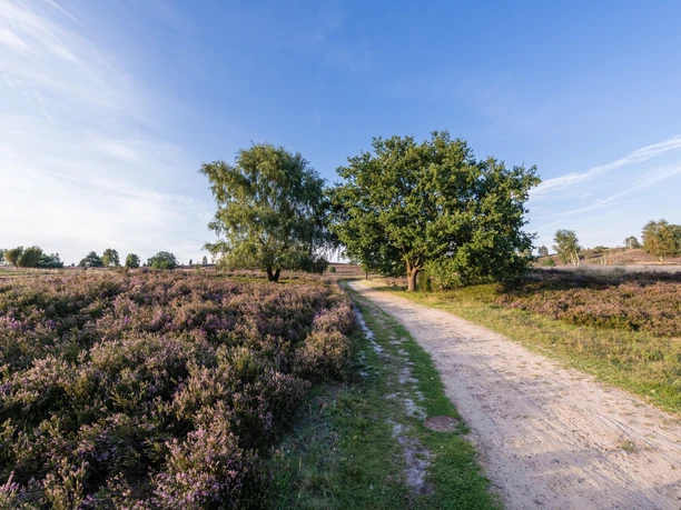 wanderweg-oberhaverbeck