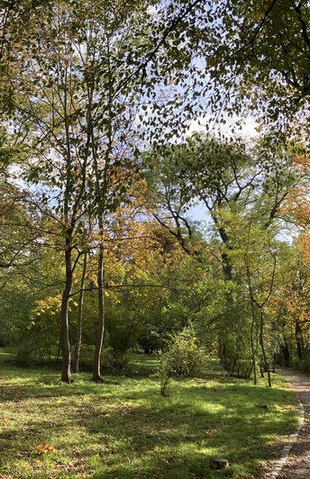 naumburg_buchholz_buchholz_rundweg (2).JPG