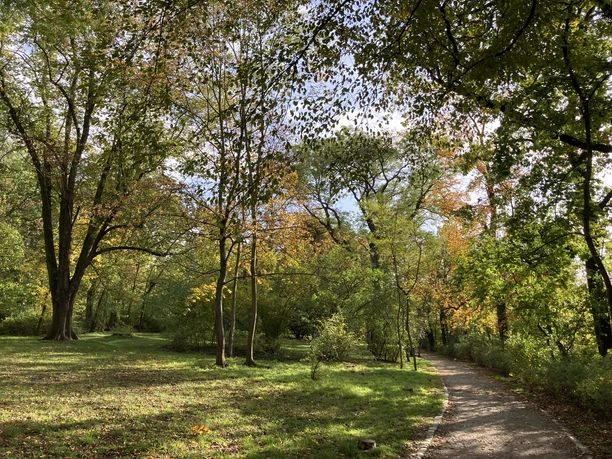 naumburg_buchholz_buchholz_rundweg (2).JPG