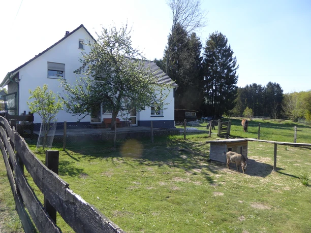 Ferienwohnung im Bergischen Land Ein weißes Landhaus auf einem grünen Grundstück mit einem Holzzaun, Bäumen und einem weidenden Schwein.
