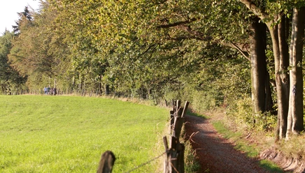 Bergischer Panoramasteig bei Biesfeld Ein sonniger Pfad führt durch eine grüne Wiese, gesäumt von Bäumen an einem klaren Herbsttag.