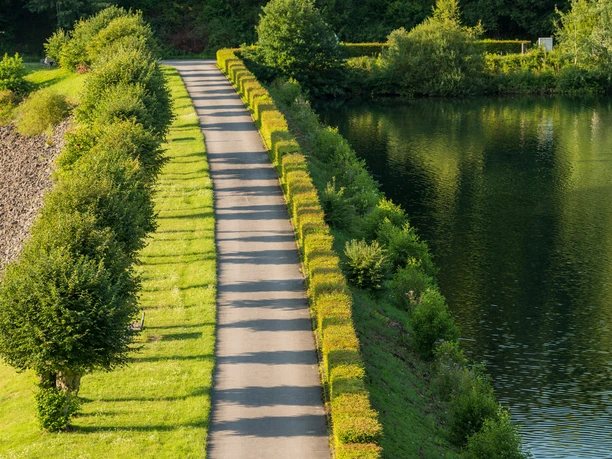 Staudamm zur Vorsperre Große Dhünn Kleiner Weg entlang eines Teichs mit sauberem, grünen Gebüsch und Bäumen auf der linken Seite.