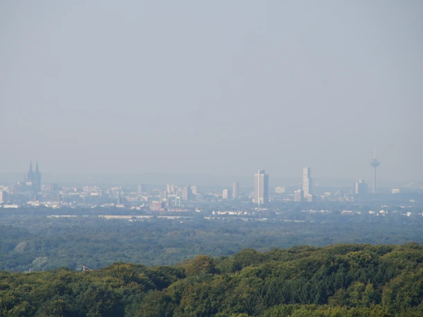 Domblick Voiswinkel Blick auf Köln mit dem Kölner Dom links, vor einem Waldgebiet und unter leicht bewölktem Himmel.