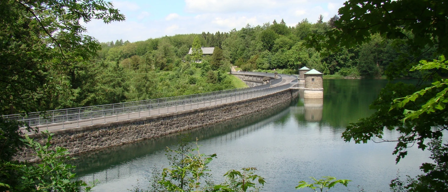 Neye-Talsperre Talsperre in grüner Umgebung mit Wald und Gewässer, im Hintergrund ein Turm auf der Mauer.