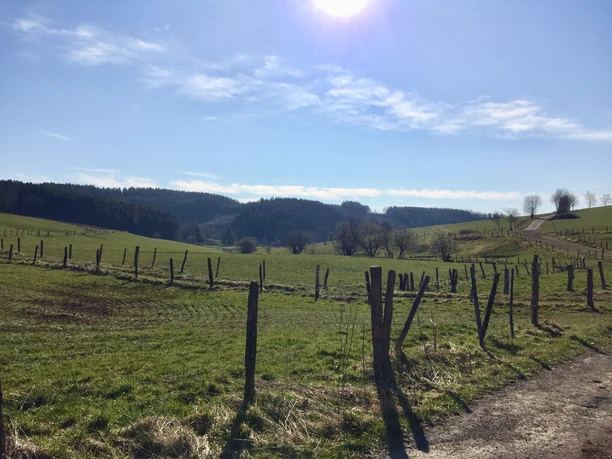 unterhalb von Hahn Grüne Hügellandschaft unter blauem Himmel mit Weidezäunen, Bäumen und von der Sonne beschienen.