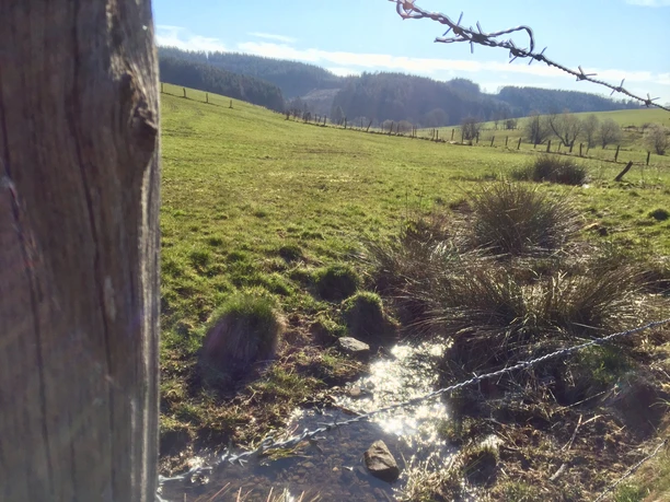 einer von mehreren Zuläufen der Wiehl Landschaft mit grünem Weideland, sanften Hügeln, Bäumen und einem kleinen Bach im Vordergrund.