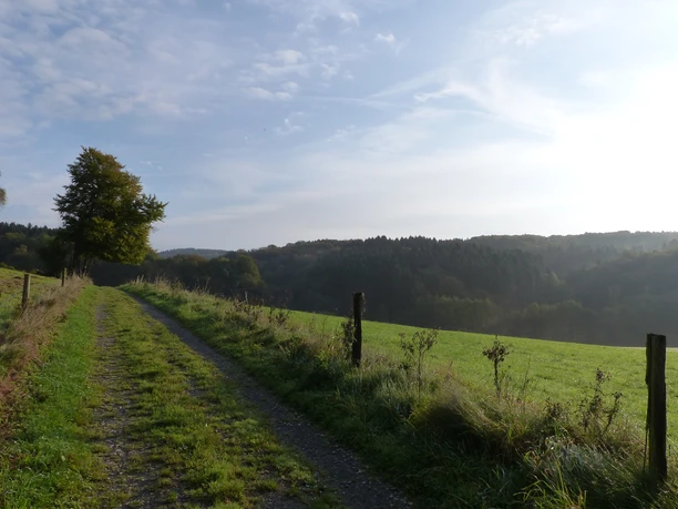 Weg Landschaftsweg aus Gras und Schotter führt an grünen Feldern vorbei, mit Wald und Hügeln im Hintergrund.