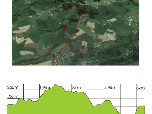 Höhenprofil Luftaufnahme einer grünen Landschaft mit markiertem Wanderpfad und Höhenprofil darunter.