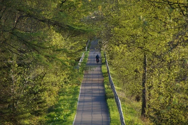 Bahntrasse Sülztalbahn <p>Ein schmaler, von Bäumen gesäumter Weg in frühlingshaftem Grün, mit einem einsamen Spaziergänger.</p>
