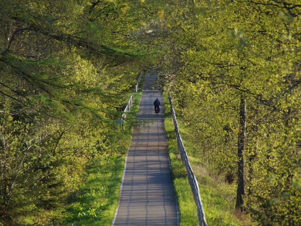 Bahntrasse Sülztalbahn <p>Ein schmaler, von Bäumen gesäumter Weg in frühlingshaftem Grün, mit einem einsamen Spaziergänger.</p>