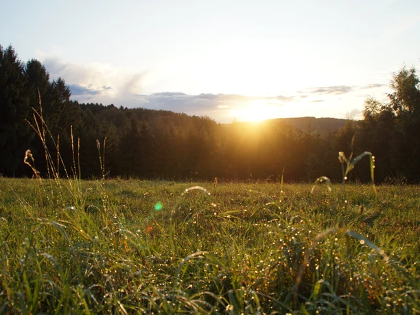 Poetische Wanderung rund um Overath Sonnenuntergang über einer grünen Wiese in Overath, umgeben von Wald und sanften Hügeln.