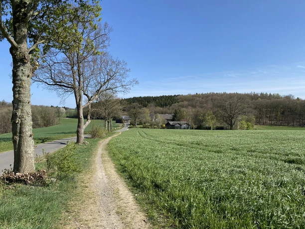 Milchweg <p>Ländlicher Feldweg in Wipperfürth, gesäumt von Bäumen, führt zu einem idyllischen Weiler im Frühling.</p>