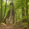 Lindlar - Scheel Burgruine Neuenberg Ruine einer alten Steinmauer mitten in einem dichten, grünen Wald mit hohem Baumbestand.