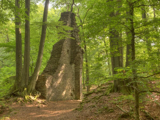 Lindlar - Scheel Burgruine Neuenberg Ruine einer alten Steinmauer mitten in einem dichten, grünen Wald mit hohem Baumbestand.