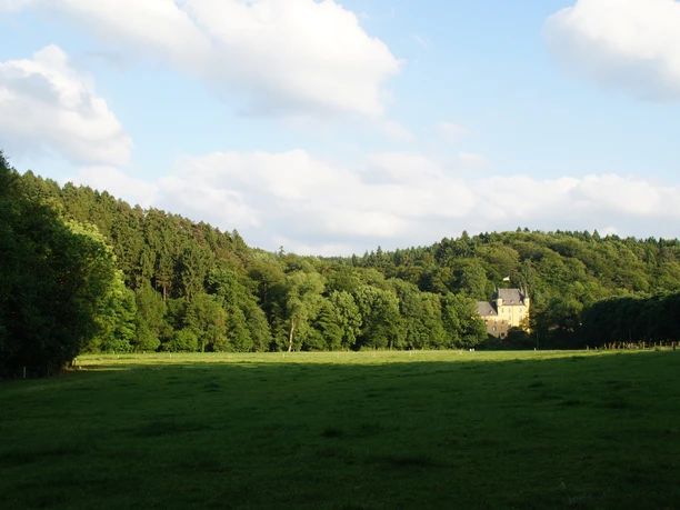 Schloss Strauweiler Schloss umgeben von weitläufiger grüner Wiese und Wald unter blauem Himmel mit weißen Wolken.