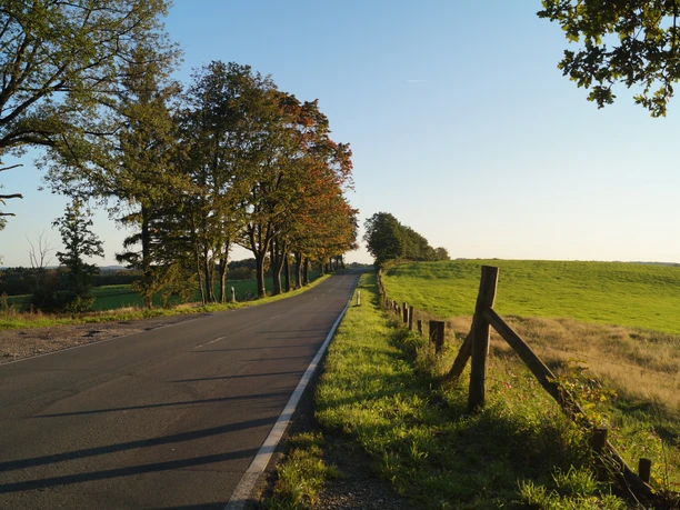 Schlösser- & Burgen-Route Eine asphaltierte Landstraße führt durch eine idyllische, von Bäumen gesäumte ländliche Landschaft.