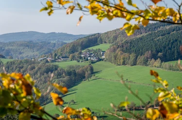 Ausblick Blick auf ein malerisches Dorf in einer hügeligen, grünen Landschaft mit herbstlichen Baumblättern im Vordergrund.