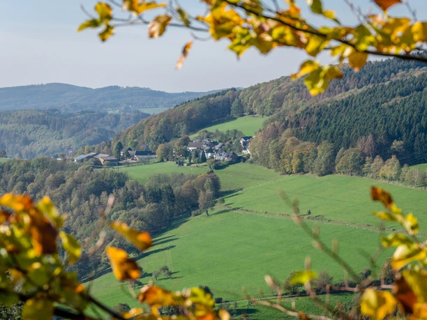 Ausblick Blick auf ein malerisches Dorf in einer hügeligen, grünen Landschaft mit herbstlichen Baumblättern im Vordergrund.